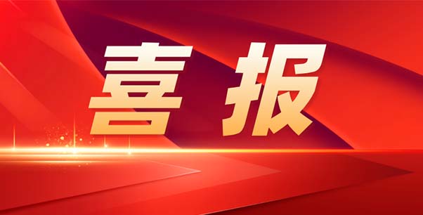 喜報(bào)！熱烈祝賀我司榮獲江蘇省“專精特新”企業(yè)稱號(hào)